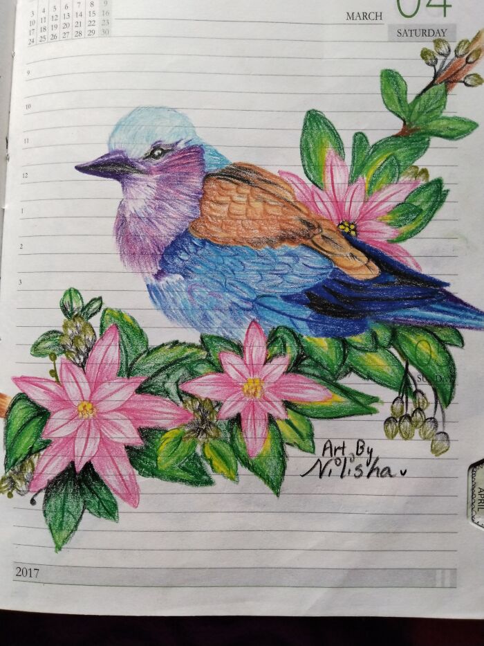 This Bird Pencil Color Artwork Is My All Time Favourite!!!