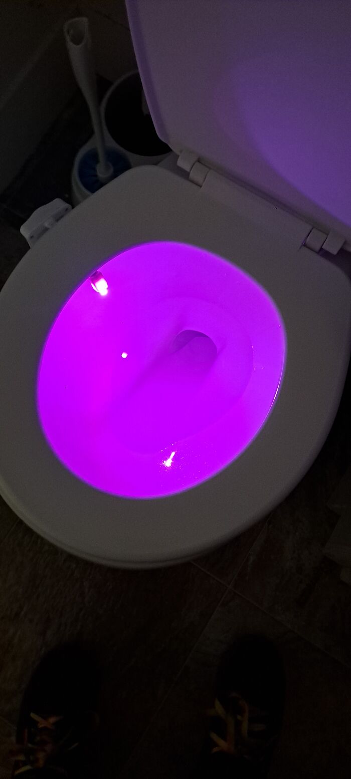 My Husband Received This Toilet Light From My Mom. Only Funny If You Have A Husband Of Your Own