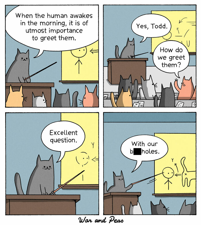 Cat Greetings 101