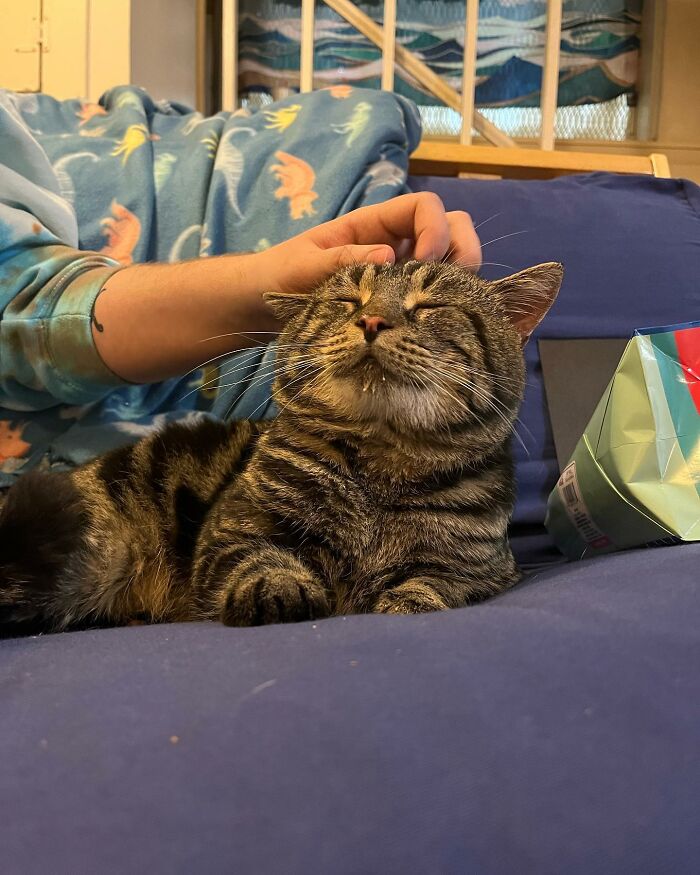 After Going Viral On Twitter, Fishtopher Has Recently Been Adopted And Is Off To Live A Happy Life After Going Viral On Twitter, Fishtopher Has Recently Been Adopted And Is Off To Live A Happy Life