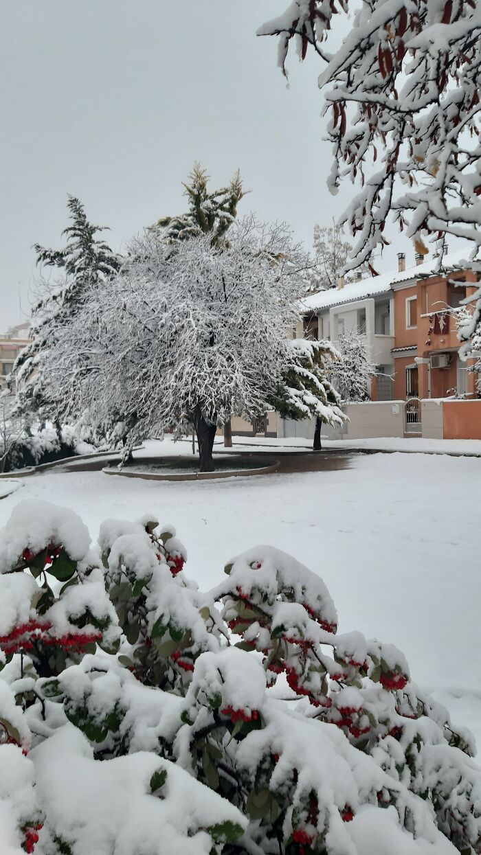 Fresh Snow In Bullas, Spain