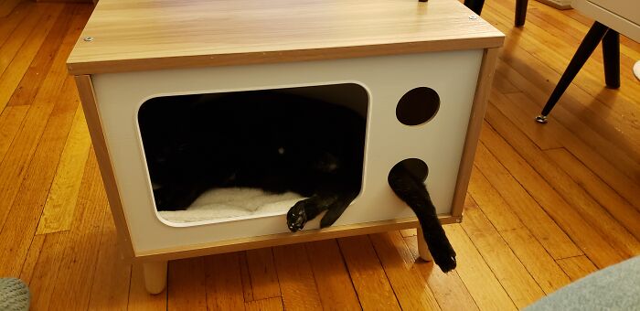Tink In His TV Cat House