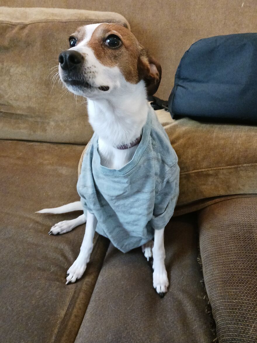 I Post Pictures Of My Animal So The Internet Can Decide What It Is