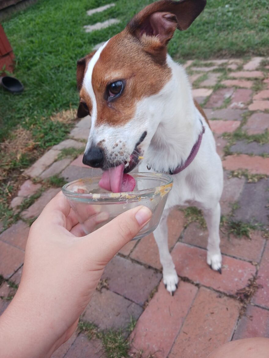 I Post Pictures Of My Animal So The Internet Can Decide What It Is