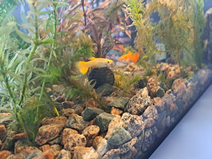 They Look Like They Were Gossiping About Me But I Disrupted Them Ahahahahha