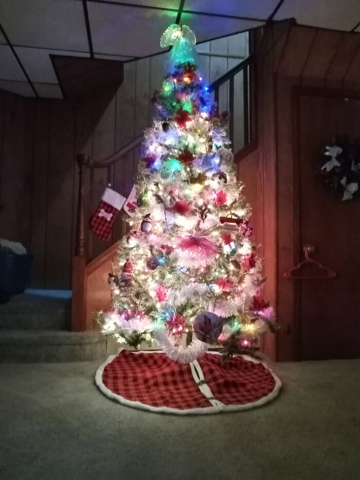 My 1st Christmas Tree In My New Home