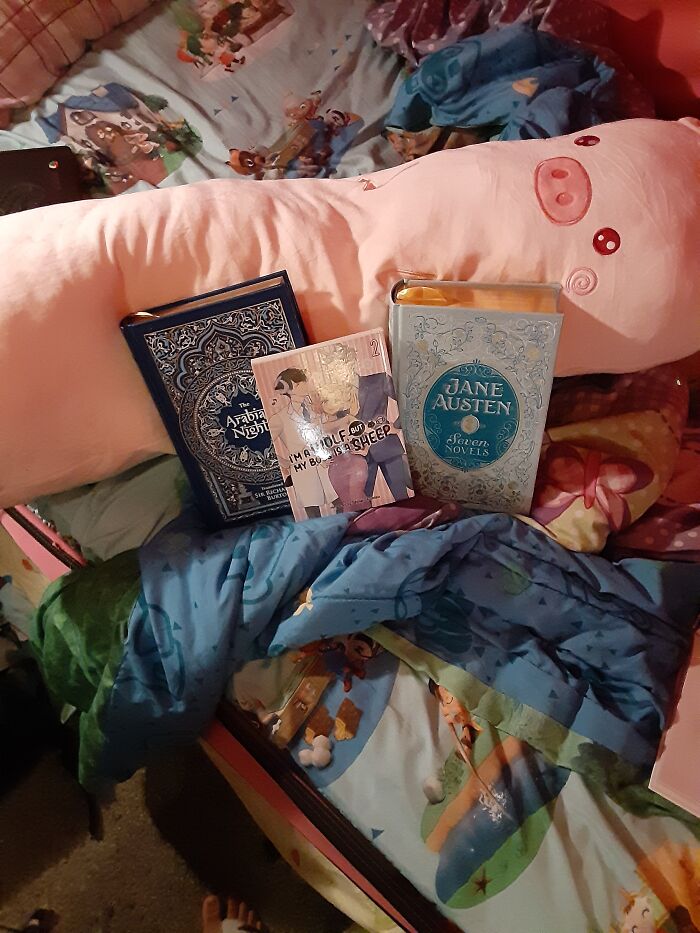 I Got These Cool Books Ive Been Dying To Get And My New Emotional Support Pillow Named Pig Puppet (I Have Autisim And High Anxeity And This Guy Has Helped Me Sleep So Well .ps Sorry There Is No Banana For Scale Folks ;=;