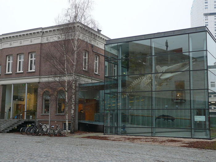 Natuurhistorisch Museum In Rotterdam, Netherlands