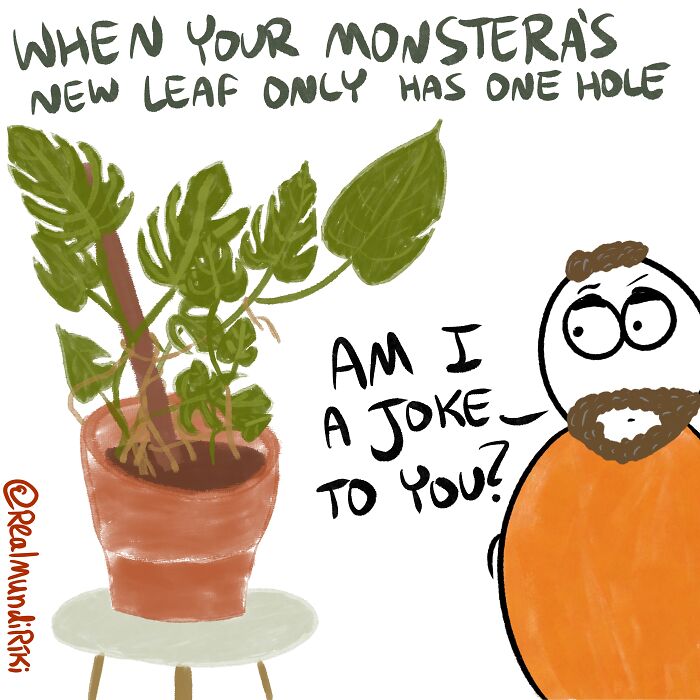 I Made 7 Comics About Living With Plants And I Wanted To Share Them With You I Made 7 Comics About Living With Plants And I Wanted To Share Them With You