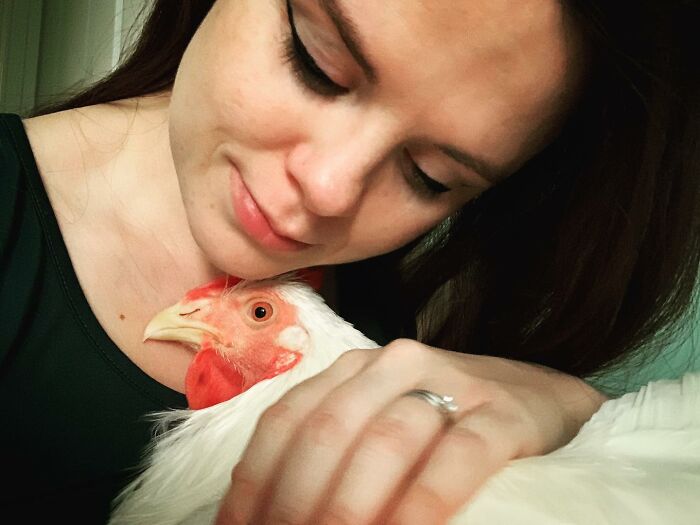 Boo Was Rescued From A Meat Factory 5 Years Ago, And His Life Shines In New Colors Ever Since Boo Was Rescued From A Meat Factory 5 Years Ago, And His Life Shines In New Colors Ever Since