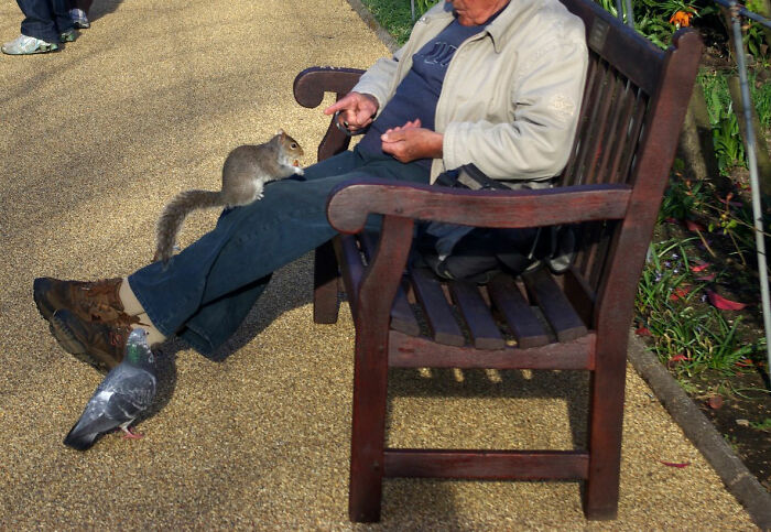 man playing with squirrel on the bench 