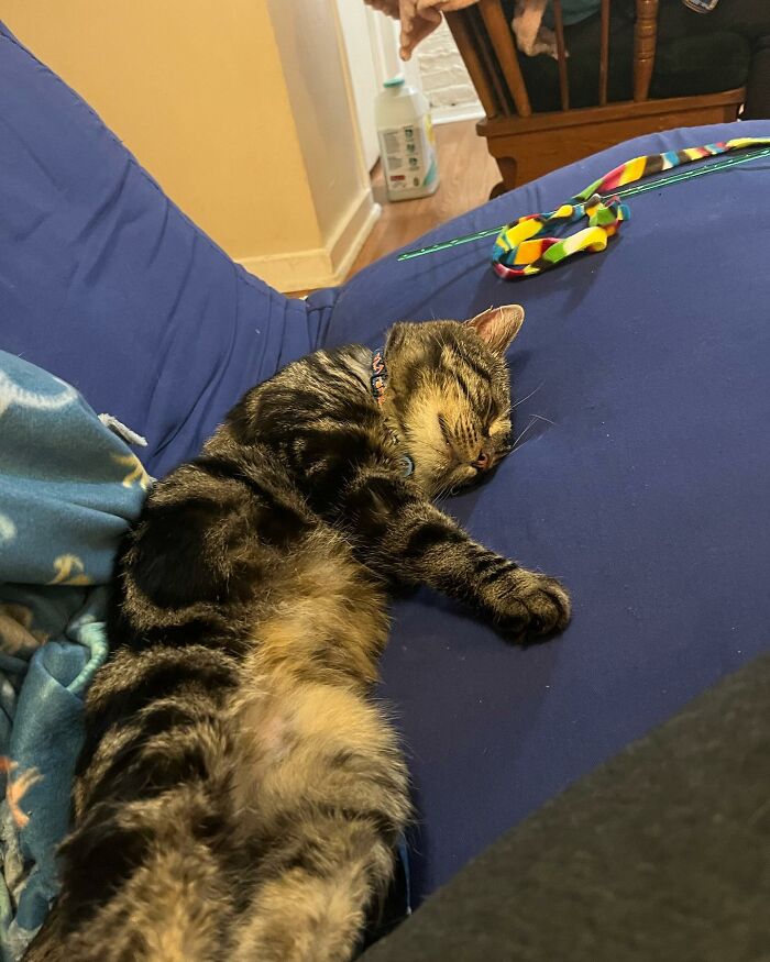 After Going Viral On Twitter, Fishtopher Has Recently Been Adopted And Is Off To Live A Happy Life After Going Viral On Twitter, Fishtopher Has Recently Been Adopted And Is Off To Live A Happy Life