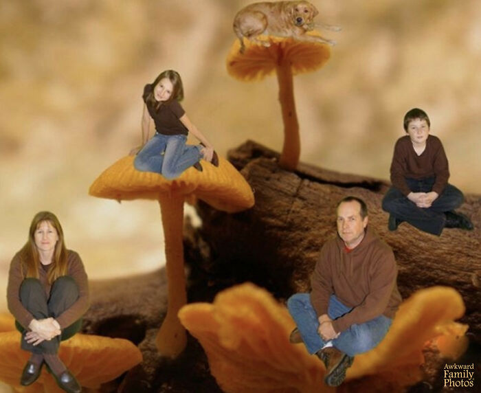 My Mom Had The Idea To Photoshop Us All On A ‘Mushroom Log’ One Year, Which Required A Lot Of Green Screen Editing. We Sent This Out For Our Christmas Card That Year