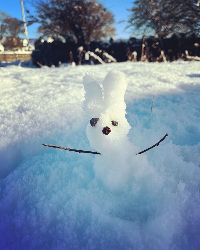 I Was Too Cold To Stay Out Long Enough To Build A Big Snowman So I Made A Tiny Snow Rabbit 😅