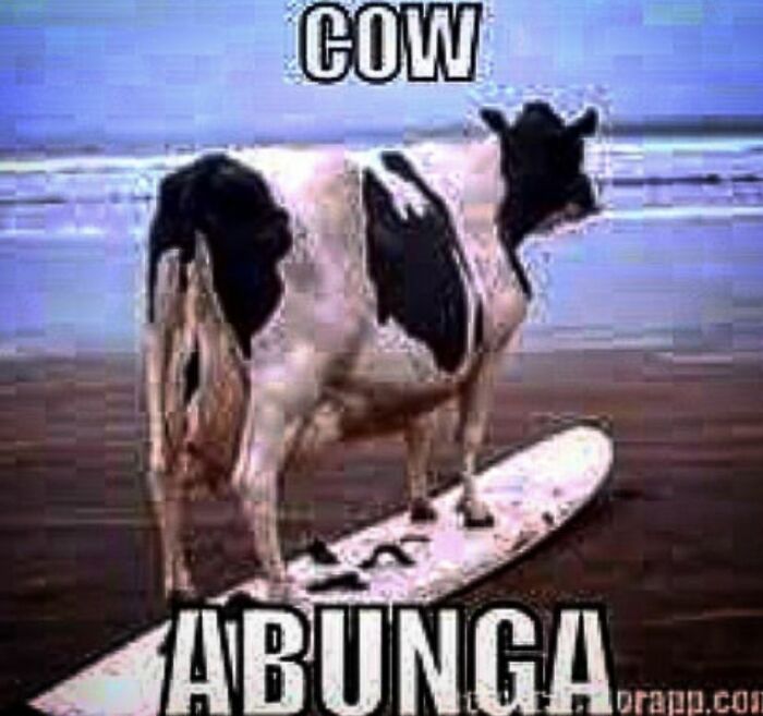 Testicle Balls Freestyle By Limeboiler. Need Some Twinkhon Sloppy Right Now Or I Might [redacted] In My Hand