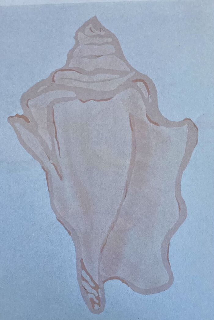 I Drew A Shell A While Back. This Is It Printed Out