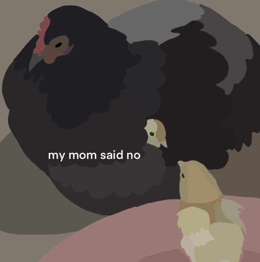 "My Mom Said No"