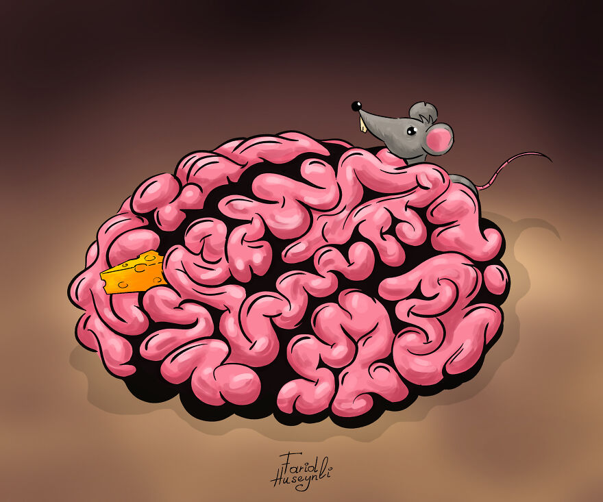 I Have Illustrated Human Brains In A Creative Way