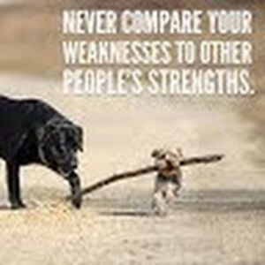 shelleyhammersley avatar