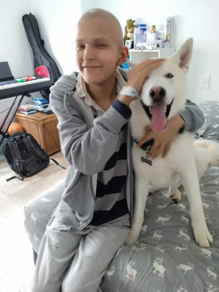 ¡Recientemente terminé el tratamiento de quimioterapia y decidí adoptar un Husky! ¡Saludad a Loki!