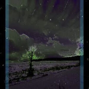 hollylynnepetrowski avatar