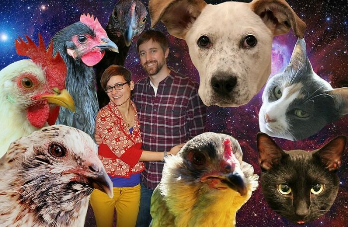 Girlfriend Insisted That All Of Our Animals Be In The Holiday Card