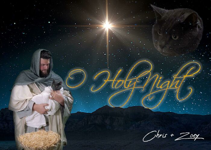 This Year's Christmas Card From My Cat And I