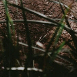 microwavemyneighbour avatar