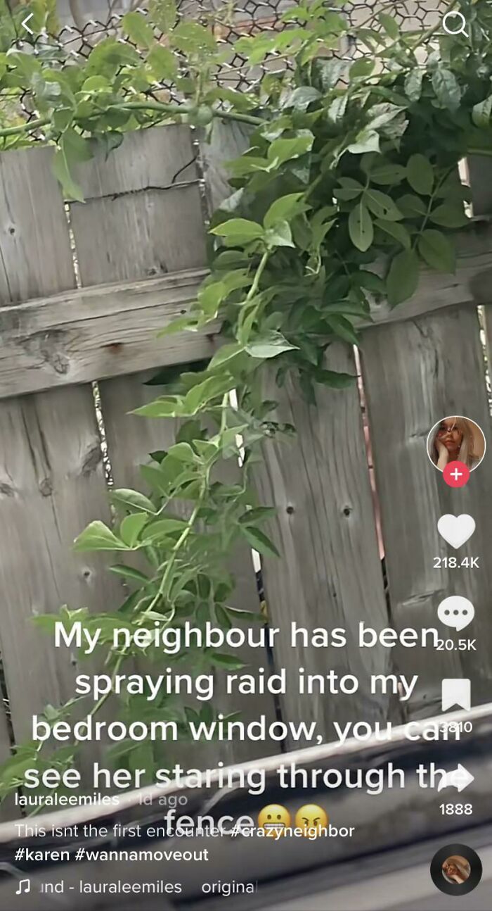 Woman’s Neighbor Sprays Raid, Peeks Through The Slits In The Fence…