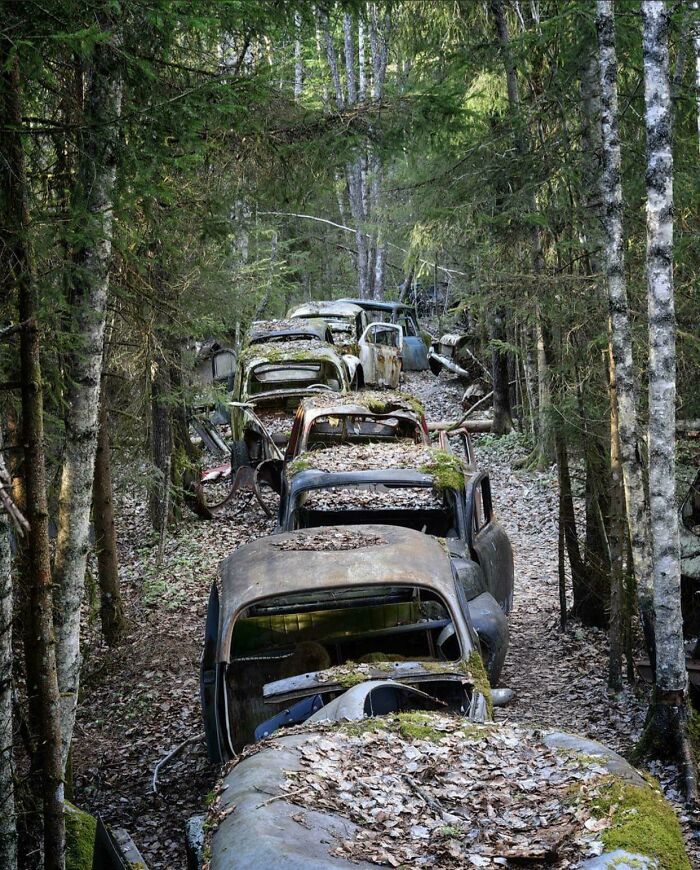 This Abandoned Traffic Jam In Sweden. What Gives?