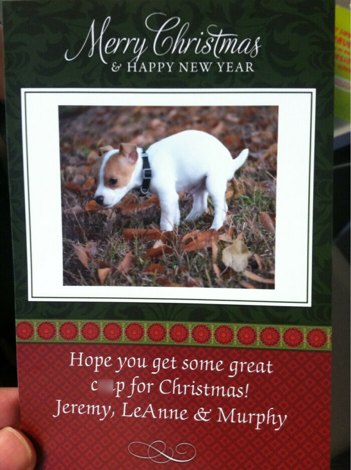 My Supervisors Daughter Got A New Dog. This Is The Christmas Card She Just Got