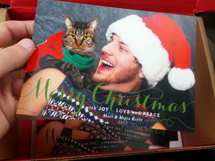 My Christmas Cards Finally Came In! 