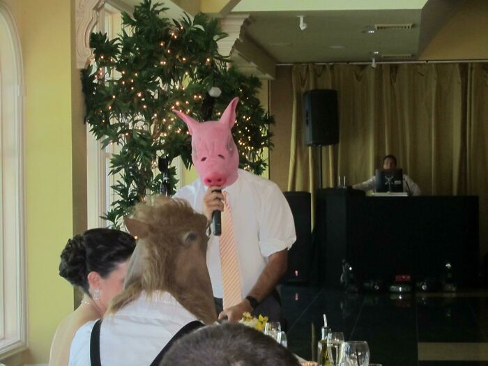 Me, In A Pig Mask, Reading The Best Man's Speech To The Groom Who's Wearing A Horse Mask. The Bride Put On A Unicorn Mask But We're Waiting For Those Pictures