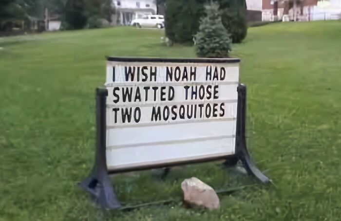 Noah And Mosquitoes