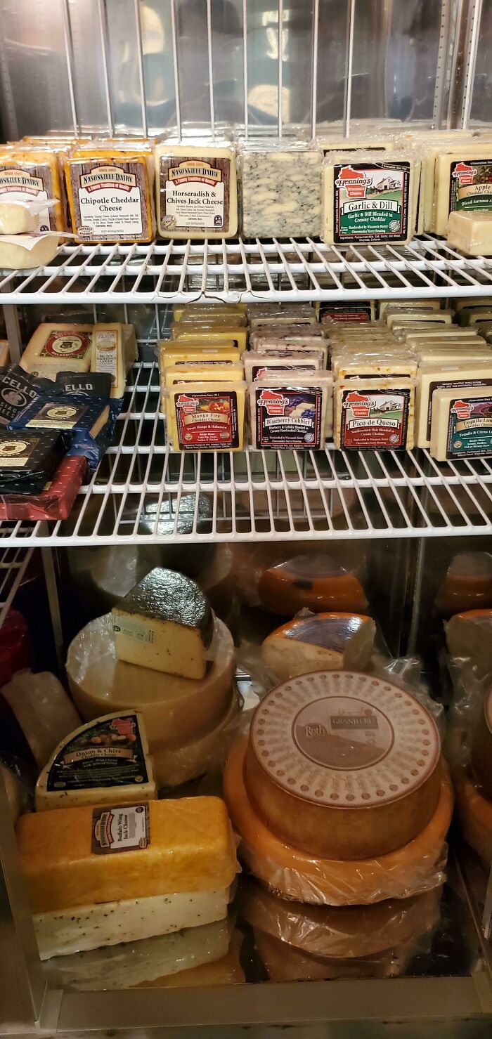 My Cheese Fridge Brings All The Boys To The Yard