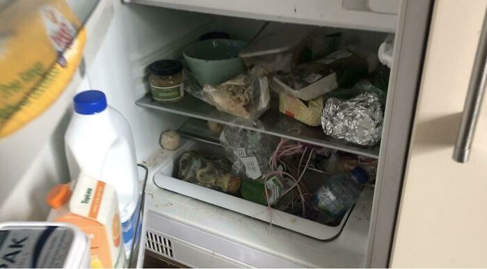 My Fridge Was Left Unattended For 5 Months Due To Covid-19. Yes That Is A Plant Growing In There. Who Was I 5 Months Ago?