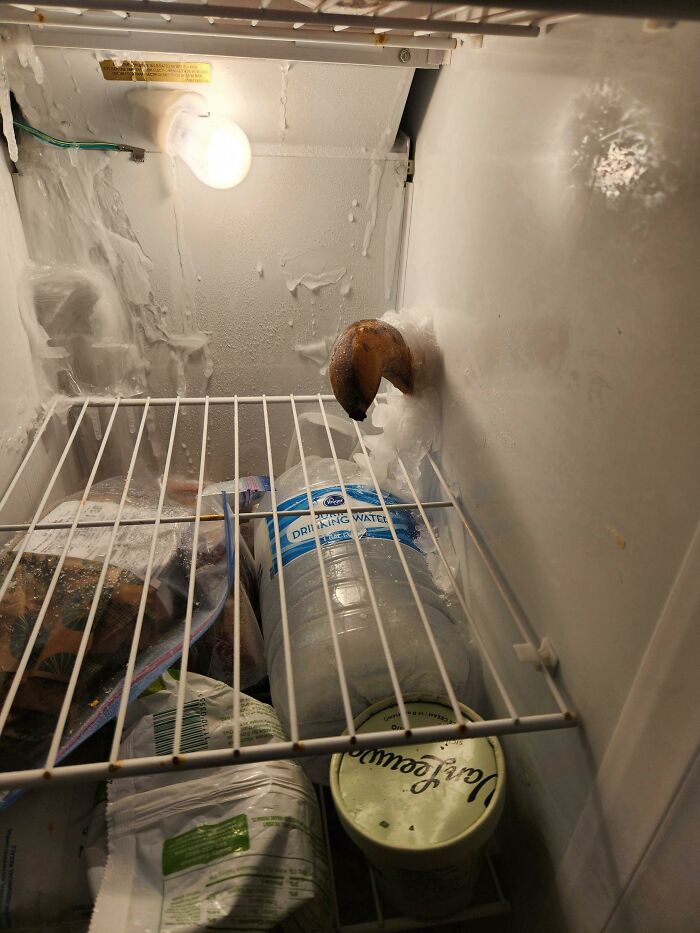 The One Who Pulls The Banana From The Ice Stone Becomes King Of The Fridge. Who Am I?