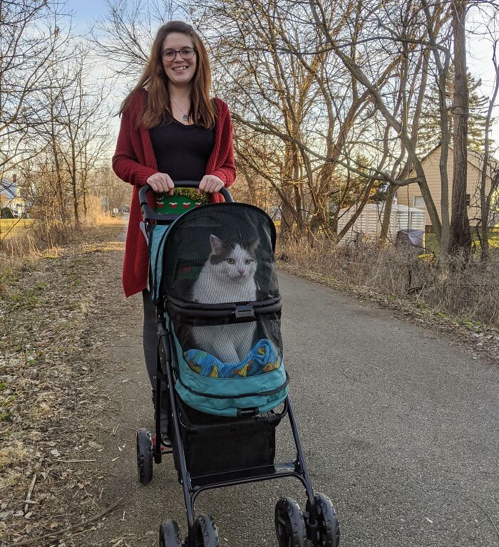 Got My GF A Pet Stroller For Christmas. Here's Cas, The 20lb Chungus On His 1st Stroll