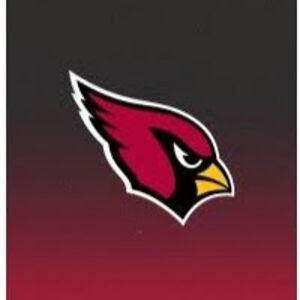 landyncharlton avatar