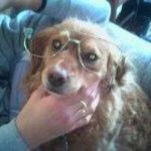 alexianthomas avatar