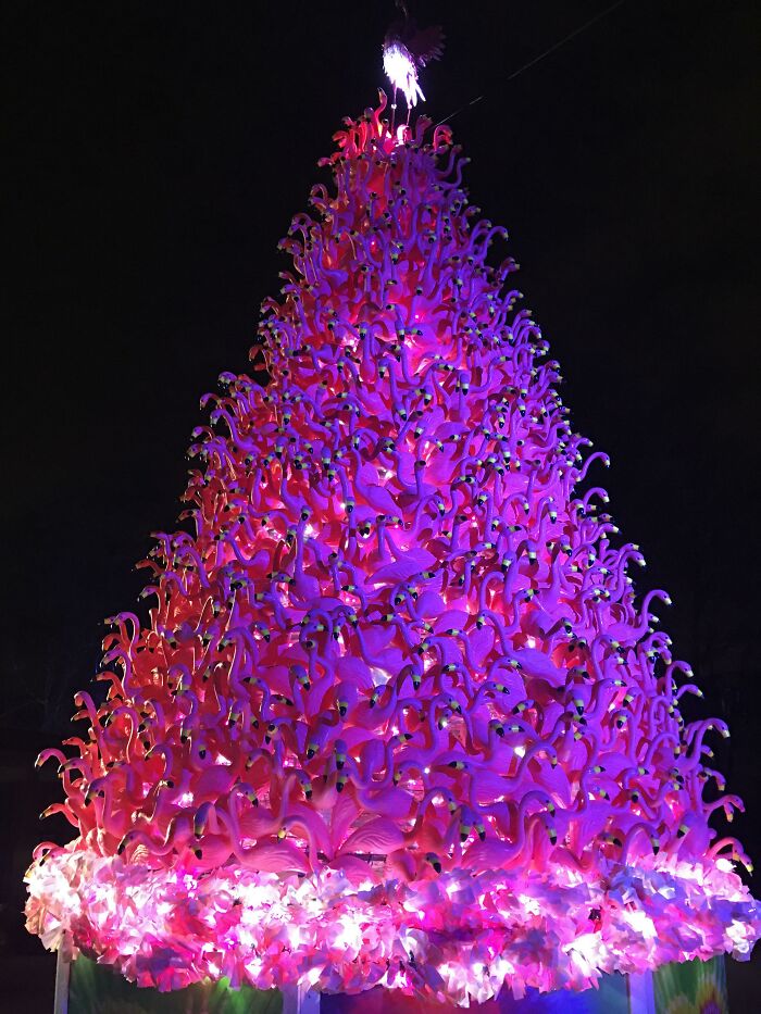 Árbol de Navidad hecho de flamencos en la exhibición de luces navideñas del zoo de Filadelfia. Feliz Navidad a todos