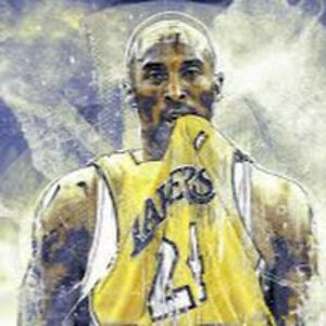 noahspellsstudent avatar