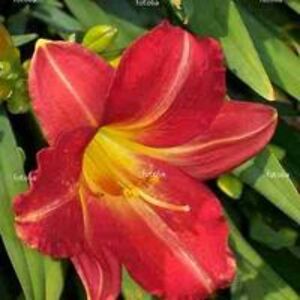 jover_francoise avatar