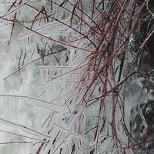 lilchevroletgurl avatar