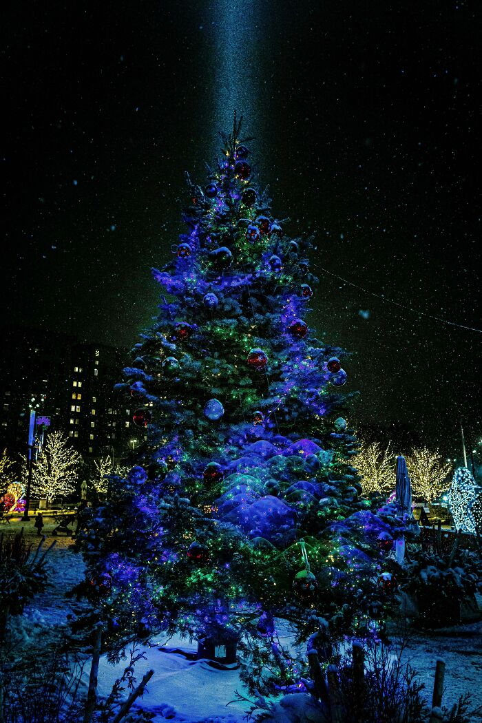 Árbol de Navidad en el centro de Detroit en Beacon Park en una noche nevada