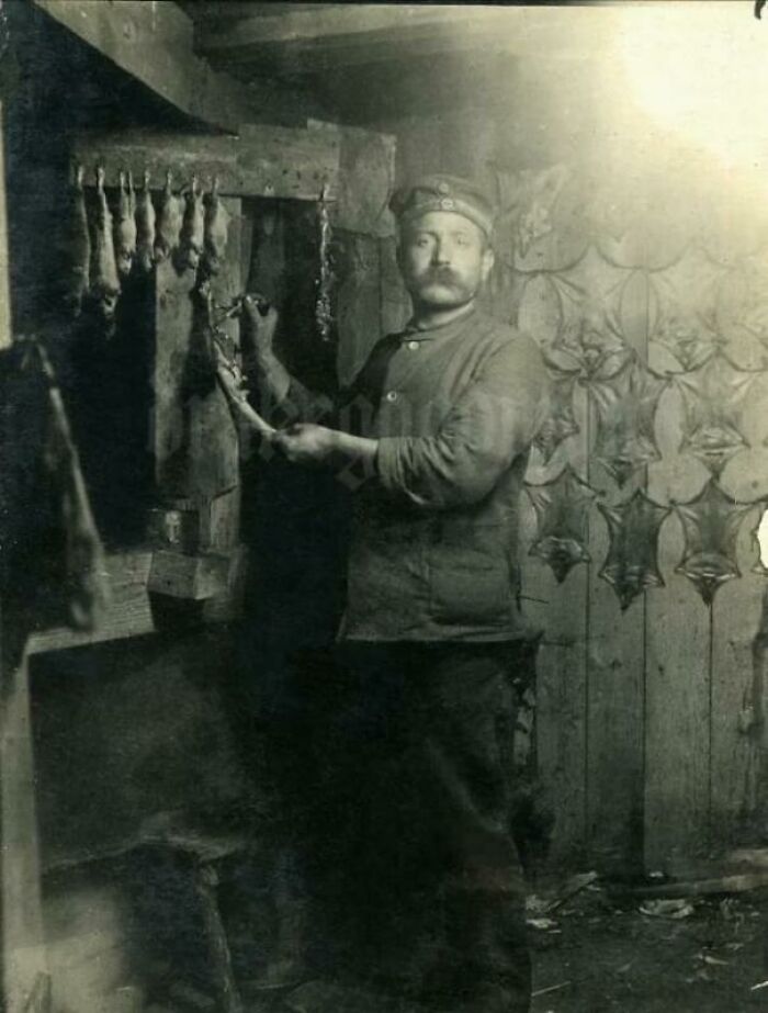 Prussian Landwehrmann Tanning Rat Skins In A Dugout During Wwi. C. 1914-1916