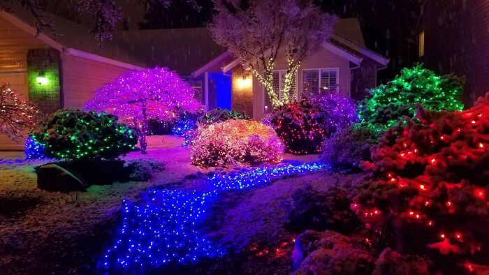 Unexpected Snow Made My Yard Look Magical