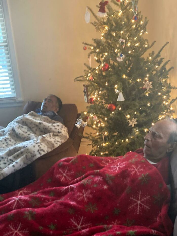 While We All Are Busy With Gifts These Two Are Truly Enjoying The Christmas