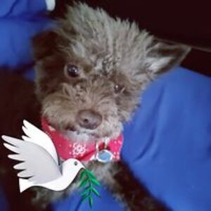 karenandnelson1 avatar