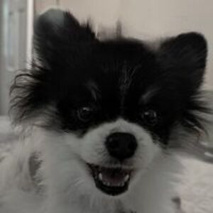 kevann_andrews_1 avatar